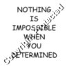 D00008   Determined